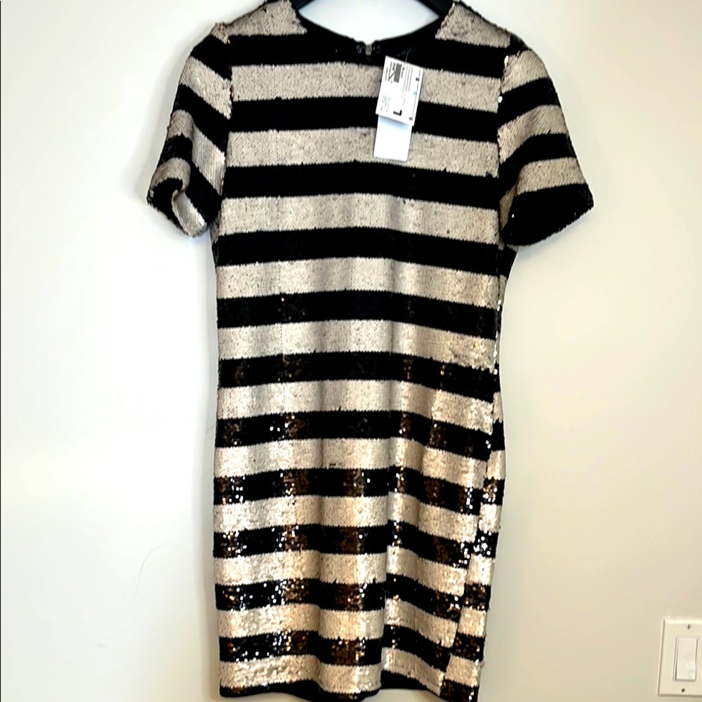 NWT Sequin Striped Dress
